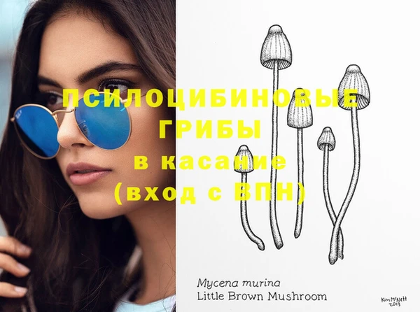 бошки Кодинск